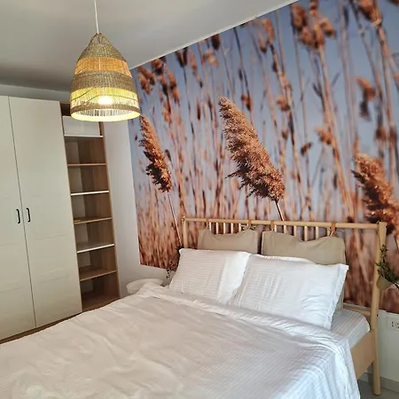 Studio Near Airport & Therme Wellness Spa Otopeni Exterior photo